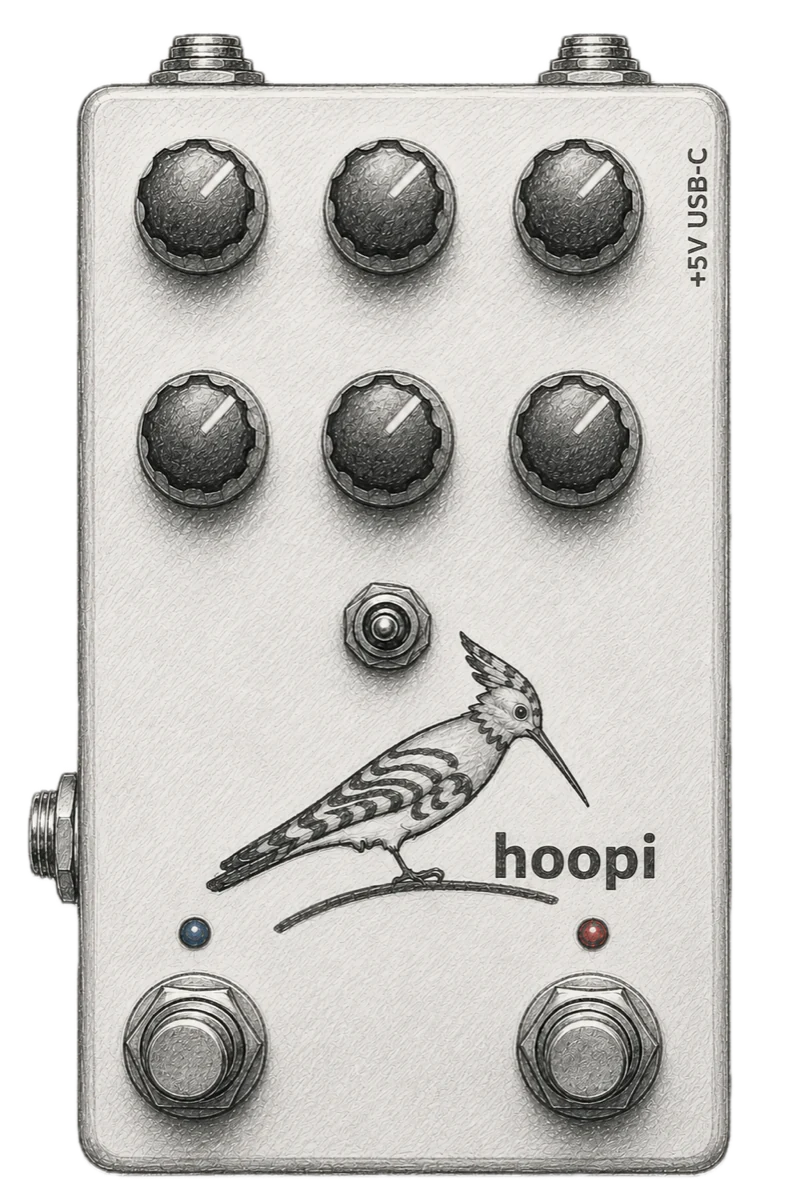 Hoopi pedal, with numbered markers keyed to the feature list