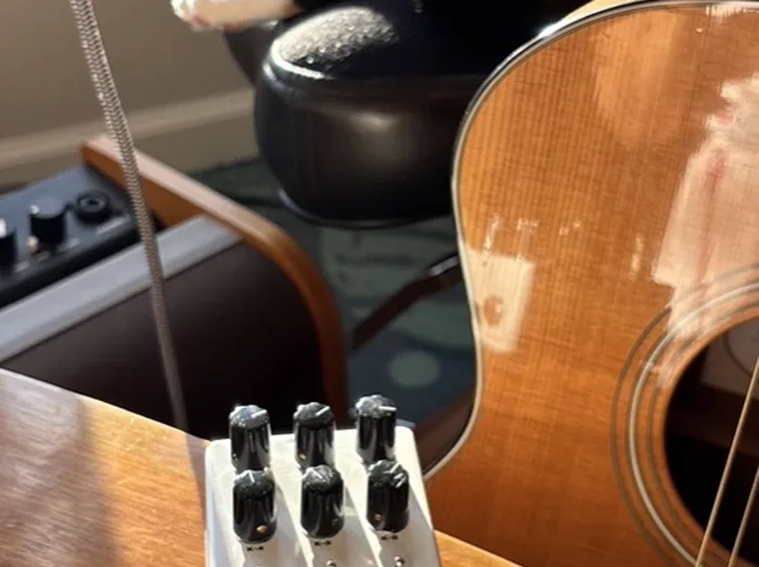 Hoopi on a side table beside an acoustic guitar and a microphone, with no computer in sight