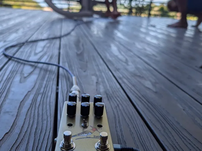 Hoopi on a wooden deck outdoors at golden hour while someone films a performance on a phone